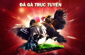 Hướng Dẫn Chơi Đá Gà WS168 Tại 78WIN Siêu Hấp Dẫn