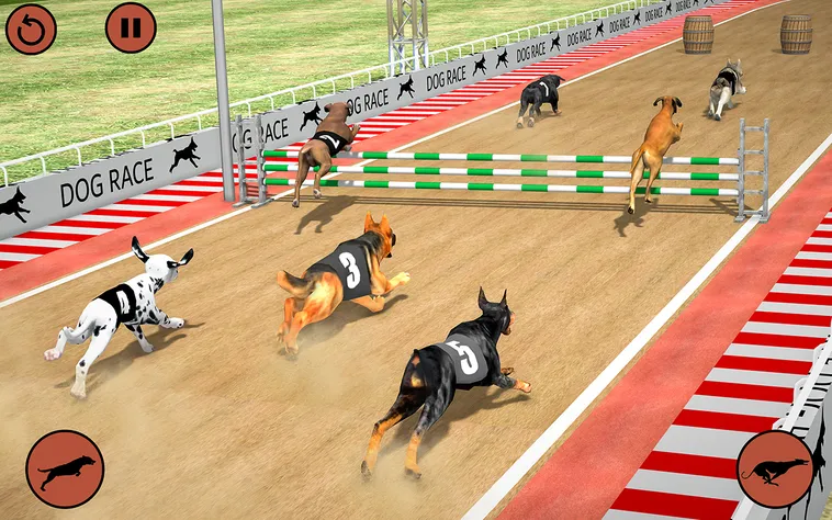 Cách Chơi Game Đua Chó 78WIN Thắng Nhanh, Chuẩn Xác