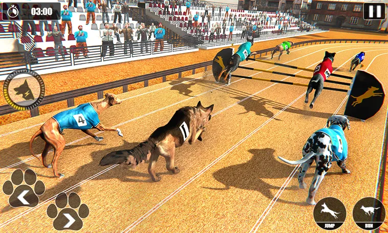 Cách Chơi Game Đua Chó 78WIN Thắng Nhanh, Chuẩn Xác